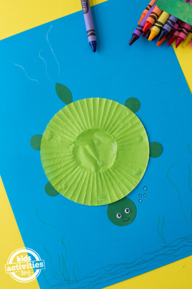 Cupcake Liner Turtle