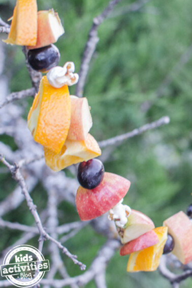 fruit garland string bird feeder