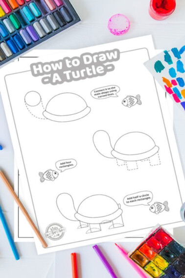 how to draw a turtle