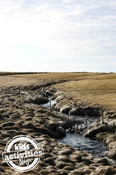 Icelandic stream