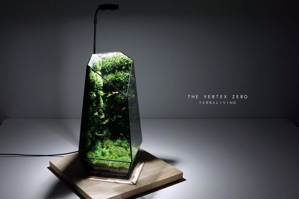 This large glass terrarium is full of moss, even on the walls! The Vertex Zero from TerraLiving is absolutely gorgeous.