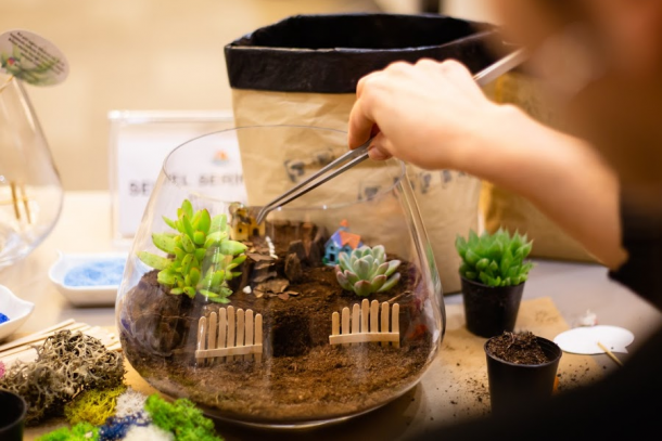 A little kid uses tweezers to put decorations into their succulent terrarium.